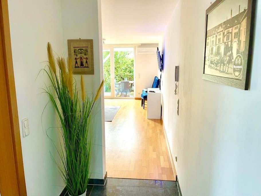 Schoene Wohnung Mit Eigenen Eingang Und Terrasse Gosseling Kültér fotó